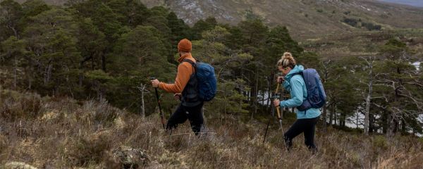 Two walkers, a man and a woman, are hiking up a hill on an overcast day. They both use hiking sticks and are wearing hiking gear. They are ascending a hill path which overlooks a thick forest, with peaks into the distant horizon.